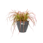 vibiacampana round 30cm anthracite